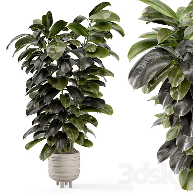 Indoor Plants In Concrete Pots – Set 953 3D Model Indoor Plants In Concrete Pots – Set 953 3D Model