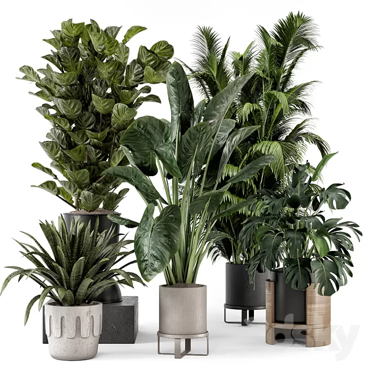 Indoor Plants in Ferm Living Bau Pot Large – Set 1188 3D Model Free Download