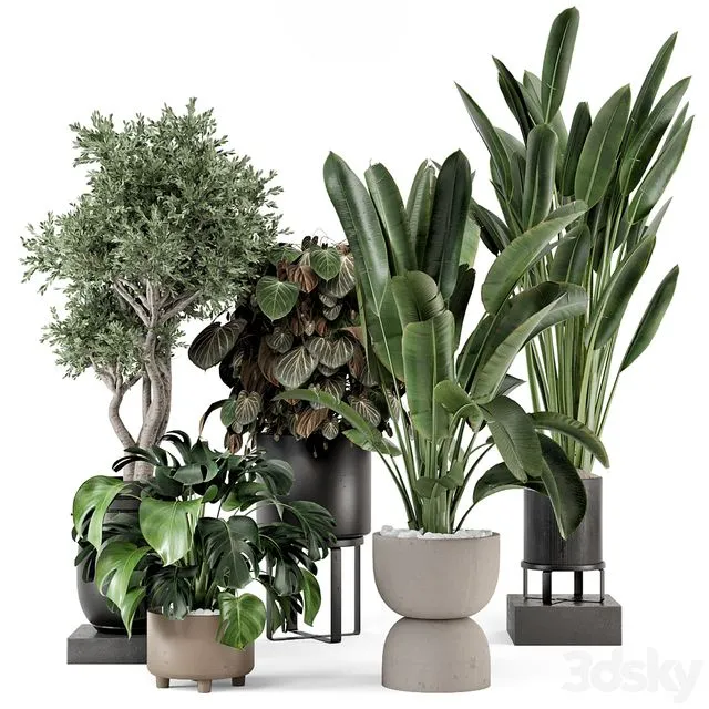 Indoor Plants in Ferm Living Bau Pot Large – Set 1204 3D Model