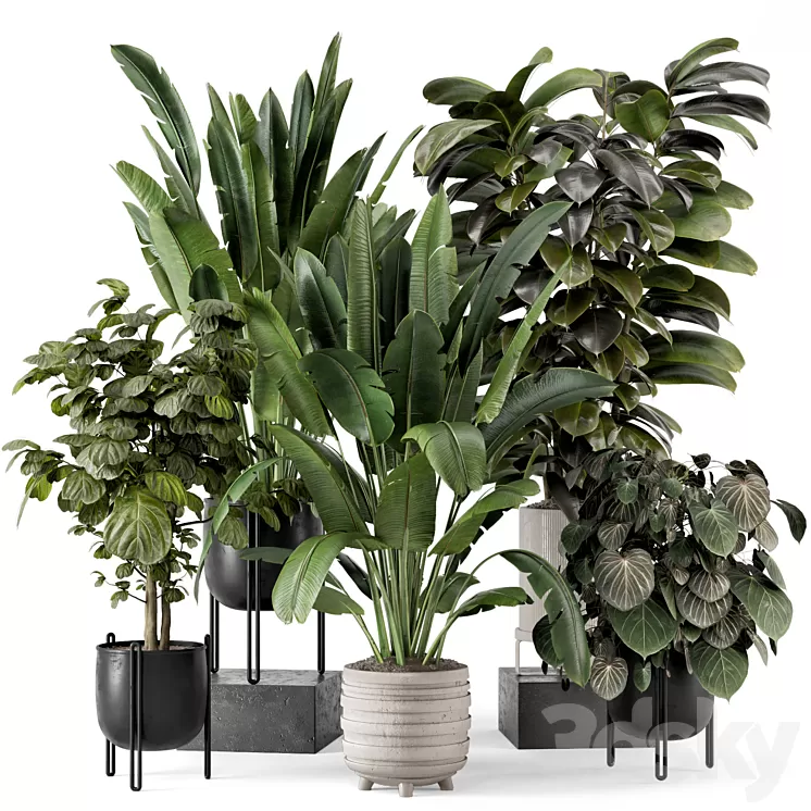 Indoor Plants in Ferm Living Bau Pot Large – Set 1208 3D Model Free Download