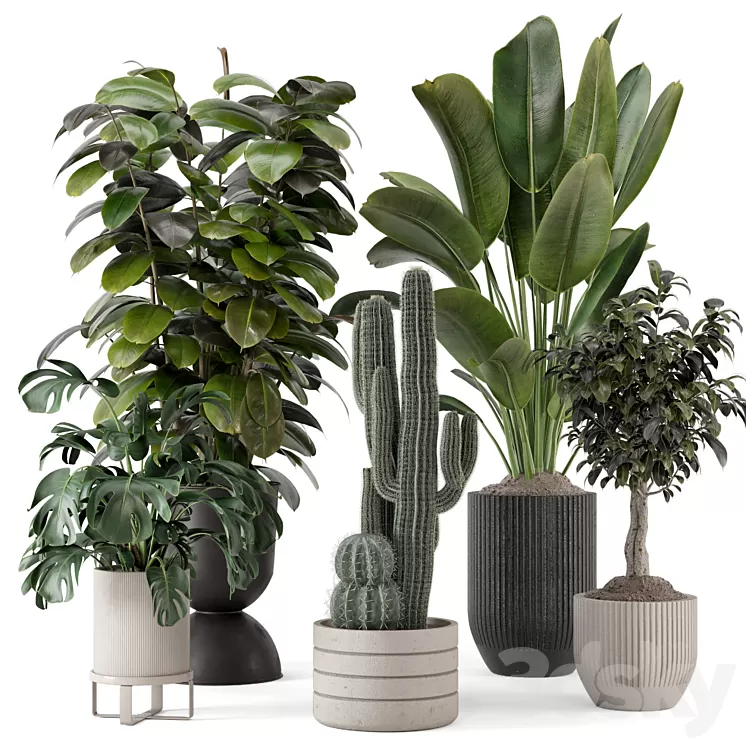 Indoor Plants in Ferm Living Bau Pot Large - Set 1220 3D Model - 3DSKY ...