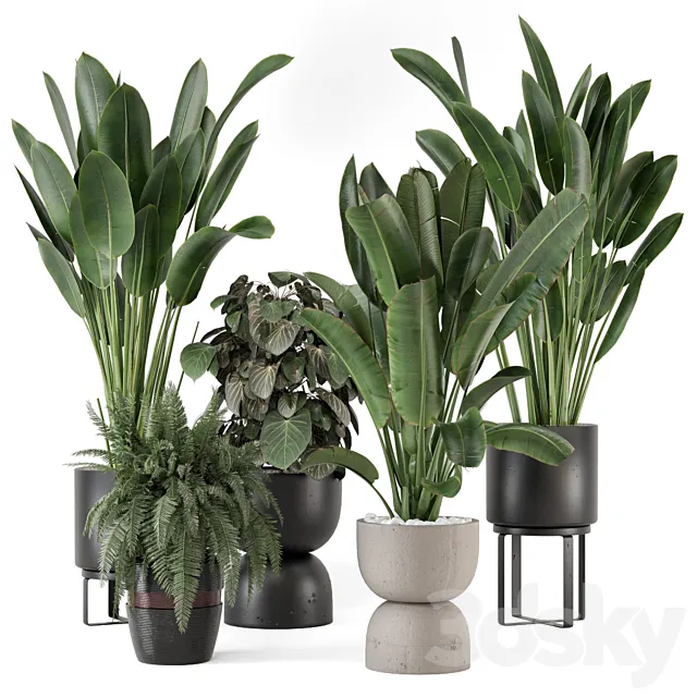 Indoor Plants in Ferm Living Bau Pot Large – Set 1256 3D Model