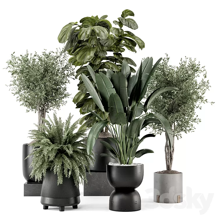 Indoor Plants in Ferm Living Bau Pot Large – Set 1277 3D Model Free Download