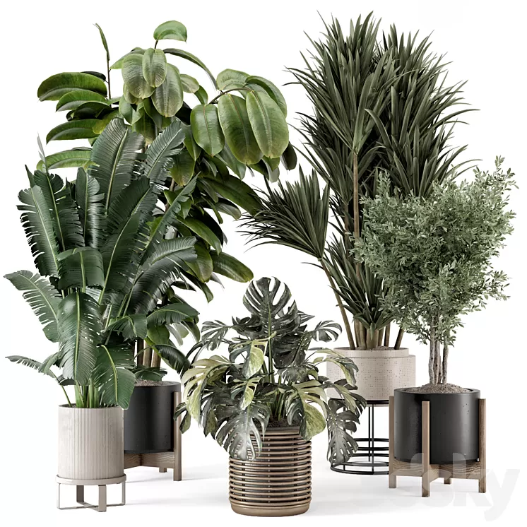 [3DSKY] Indoor Plants In Ferm Living Bau Pot Large - Set 1328 3D Model ...