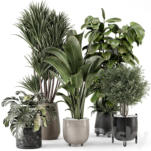 Indoor Plants in Ferm Living Bau Pot Large – Set 1343 3D Model