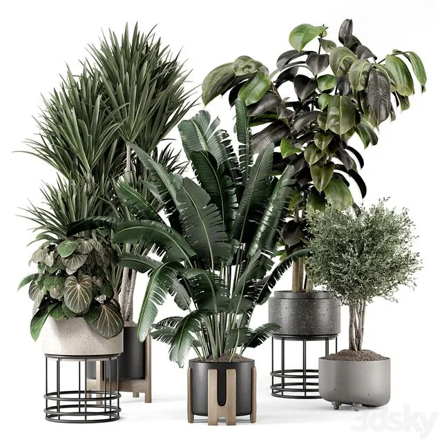 Indoor Plants in Ferm Living Bau Pot Large – Set 1351 3D Model