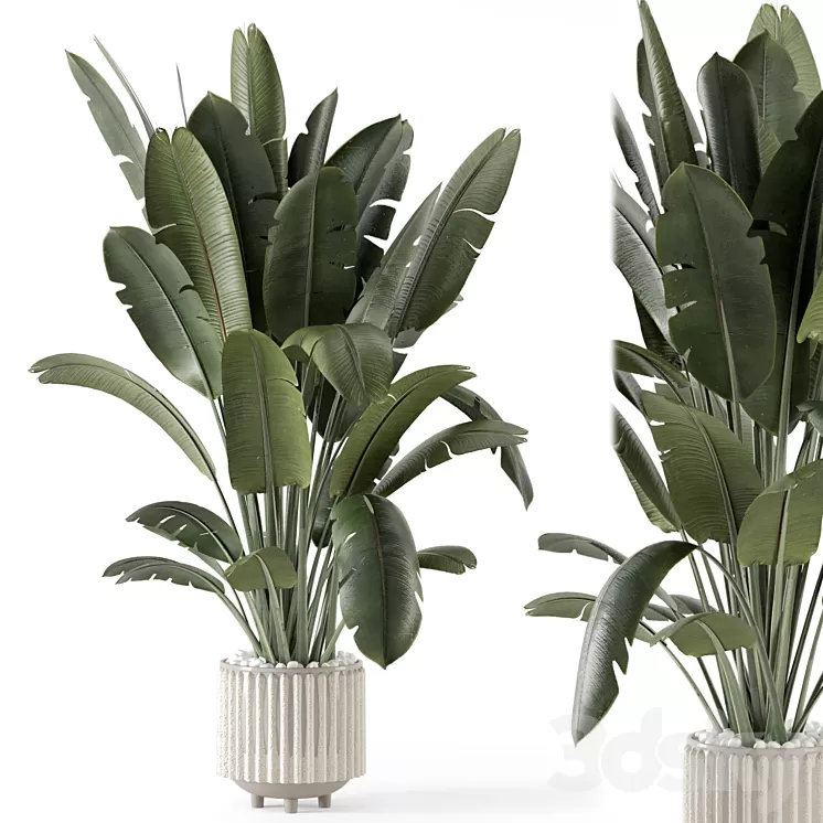Indoor Plants in Ferm Living Bau Pot Large – Set 1448 3D Model