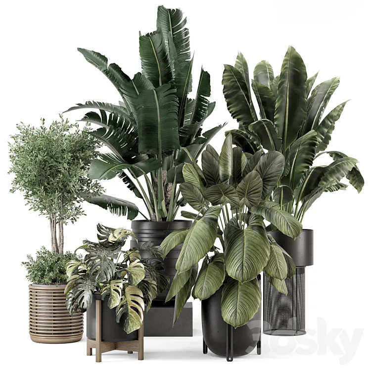 Indoor Plants in Ferm Living Bau Pot Large – Set 1665 3D Model Free Download