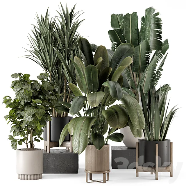 Indoor Plants in Ferm Living Bau Pot Large – Set 1782 3D Model Indoor Plants in Ferm Living Bau Pot Large – Set 1782 3D Model
