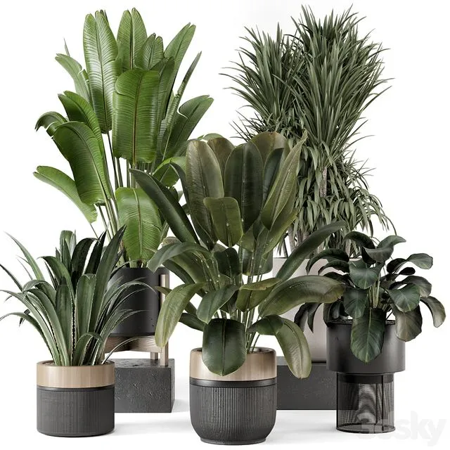 Indoor Plants in Ferm Living Bau Pot Large – Set 1947 3D Model