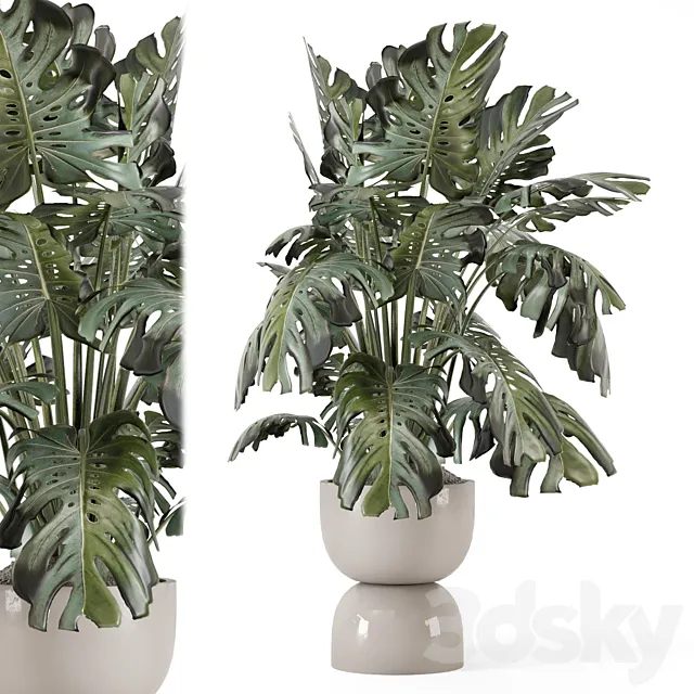 Indoor Plants in Ferm Living Bau Pot Large – Set 2160 3D Model Indoor Plants in Ferm Living Bau Pot Large – Set 2160 3D Model