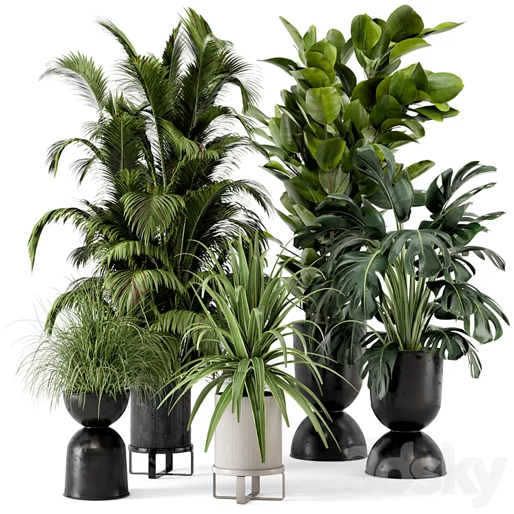 Indoor Plants in Ferm Living Bau Pot Large – Set 220 3D Model