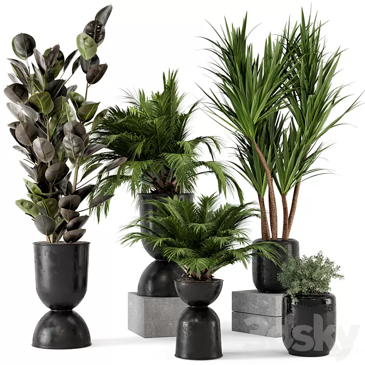 Indoor Plants in Ferm Living Bau Pot Large – Set 226 3D Model