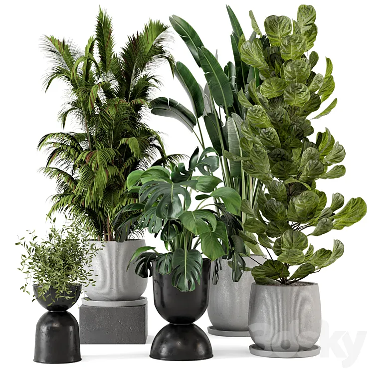 Indoor Plants in Ferm Living Bau Pot Large – Set 230 3D Model Free Download
