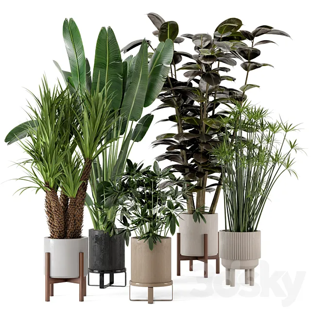 Indoor Plants in Ferm Living Bau Pot Large – Set 235 3D Model