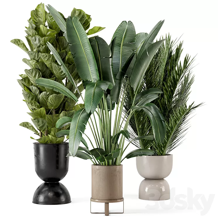 Indoor Plants in Ferm Living Bau Pot Large – Set 273 3D Model Free Download