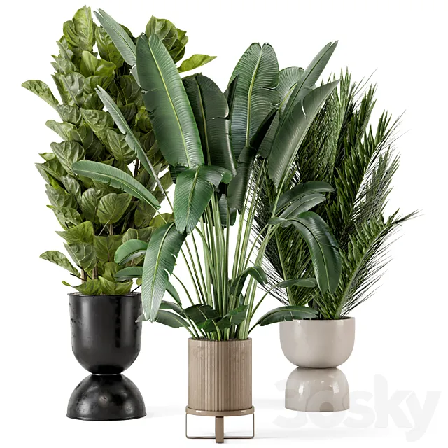 Indoor Plants in Ferm Living Bau Pot Large – Set 273 3DModel