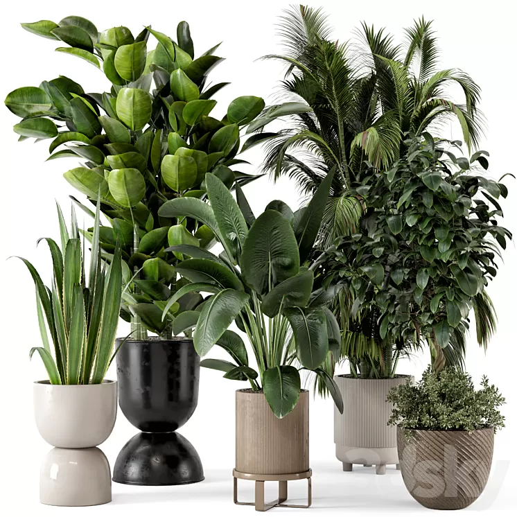 Indoor Plants in Ferm Living Bau Pot Large – Set 290 3D Model Free Download