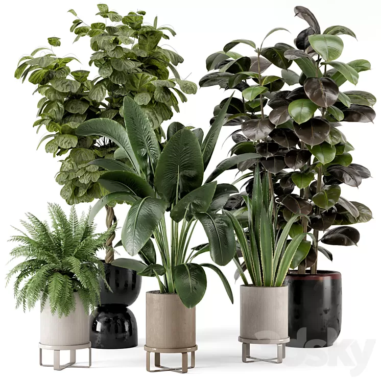 Indoor Plants in Ferm Living Bau Pot Large – Set 299 3D Model Free Download