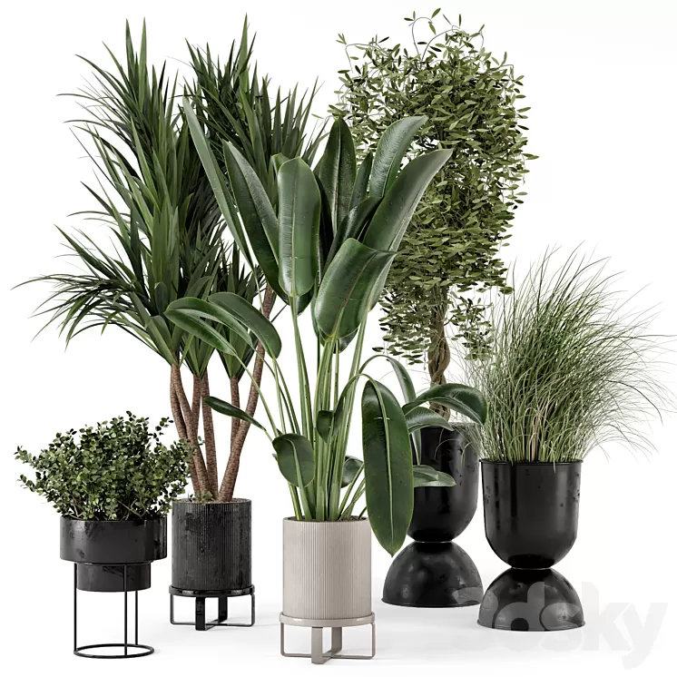 Indoor Plants in Ferm Living Bau Pot Large – Set 312 3D Model