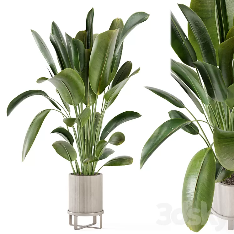 Indoor Plants in Ferm Living Bau Pot Large – Set 378 3D Model Free Download