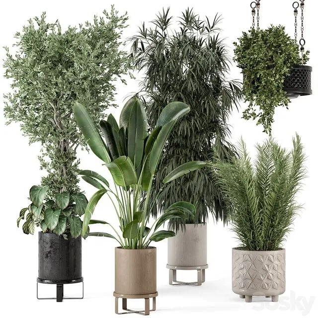Indoor Plants in Ferm Living Bau Pot Large Set 474 3D Model Indoor Plants in Ferm Living Bau Pot Large Set 474 3D Model