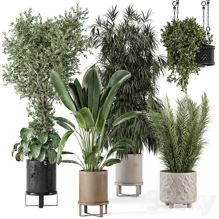 Indoor Plants in Ferm Living Bau Pot Large – Set 474 3D Model Free Download