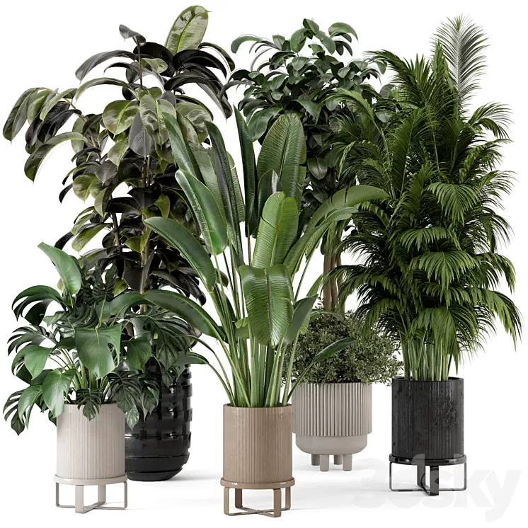 Indoor Plants in Ferm Living Bau Pot Large – Set 548 3D Model Free Download