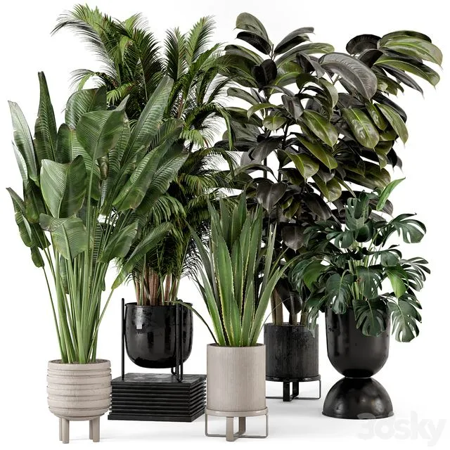 Indoor Plants in Ferm Living Bau Pot Large – Set 572 3D Model Indoor Plants in Ferm Living Bau Pot Large – Set 572 3D Model