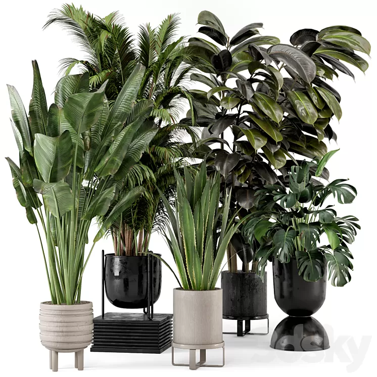 Indoor Plants in Ferm Living Bau Pot Large – Set 572 3D Model Free Download