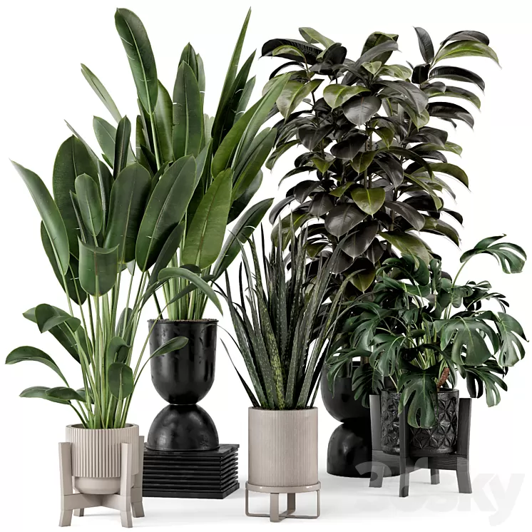 [3DSKY] Indoor Plants In Ferm Living Bau Pot Large - Set 583 3D Model ...