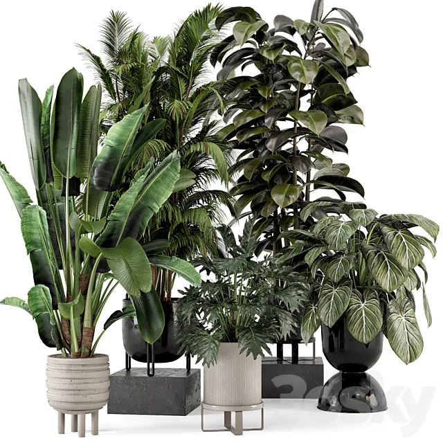 Indoor Plants in Ferm Living Bau Pot Large – Set 740 3D Model Indoor Plants in Ferm Living Bau Pot Large – Set 740 3D Model
