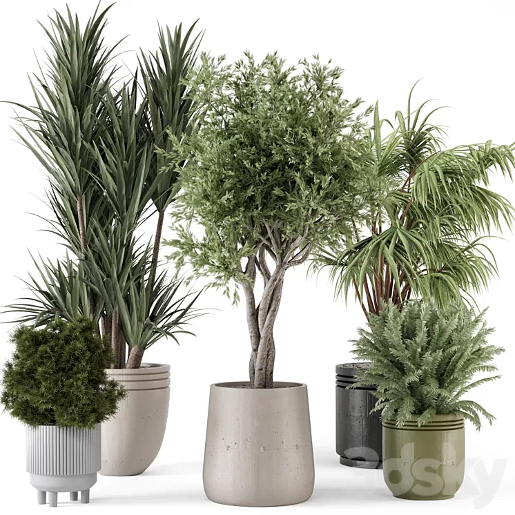 Indoor Plants in Ferm Living Bau Pot Large – Set 817 3D Model Free Download