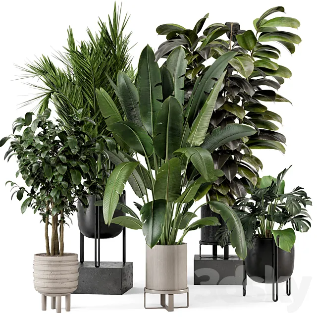 Indoor Plants in Ferm Living Bau Pot Large – Set 879 3D Model Indoor Plants in Ferm Living Bau Pot Large – Set 879 3D Model
