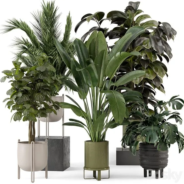Indoor Plants in Ferm Living Bau Pot Large – Set 976 3D Model Indoor Plants in Ferm Living Bau Pot Large – Set 976 3D Model