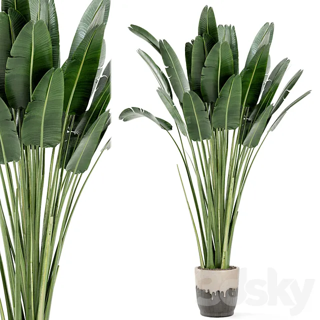 Indoor Plants In Handmade Glazed pot – Set 190 3D Model Indoor Plants In Handmade Glazed pot – Set 190 3D Model