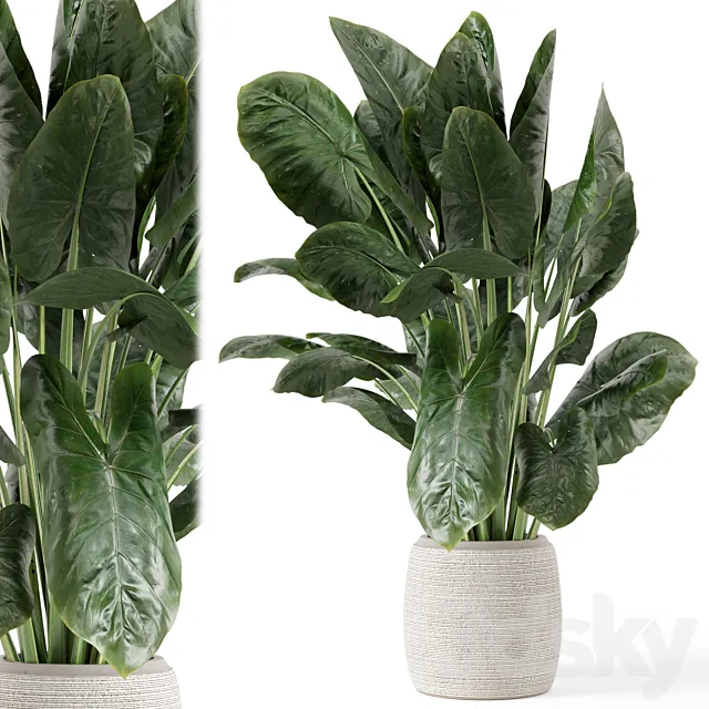 Indoor Plants in Handmade Stone Pot – Set 1797 3D Model Indoor Plants in Handmade Stone Pot – Set 1797 3D Model