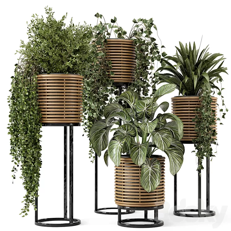 Indoor Plants in natural rattan Pot on Metal Base – Set 592 3D Model