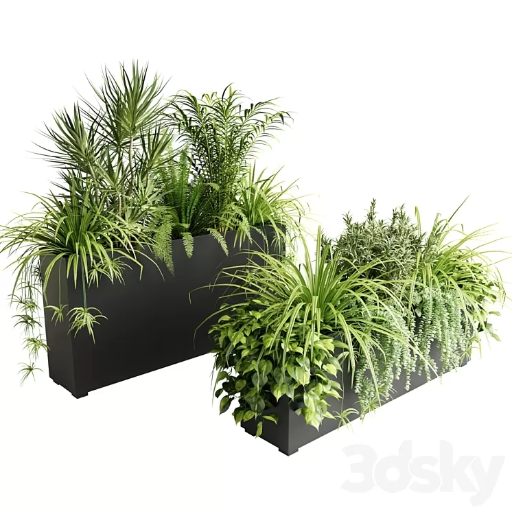 Indoor plants in outdoor boxes 3D Model Free Download Indoor plants in outdoor boxes 3D Model Free Download