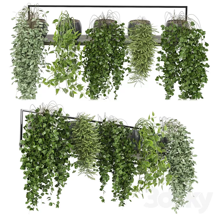 indoor plants in rusty concrete pot on metal shelf – Set 0088 3D Model Free Download