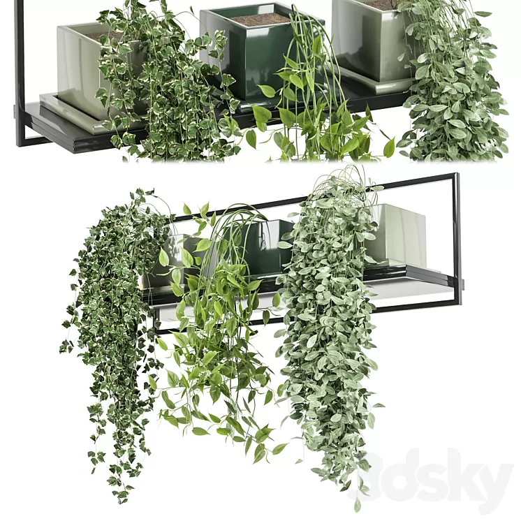 indoor plants in rusty concrete pot on metal shelf – Set 107 3D Model