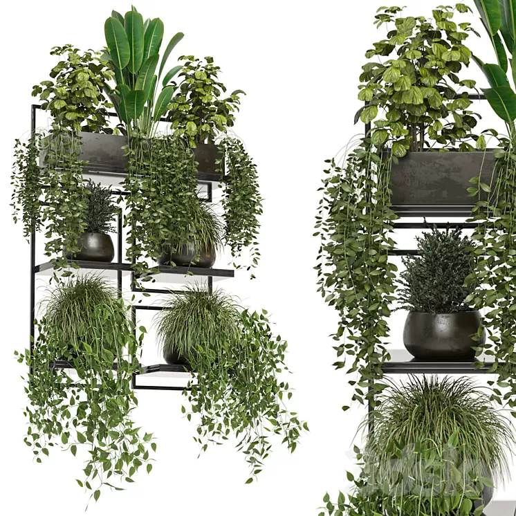 indoor plants in rusty concrete pot on metal shelf – Set 207 3D Model Free Download