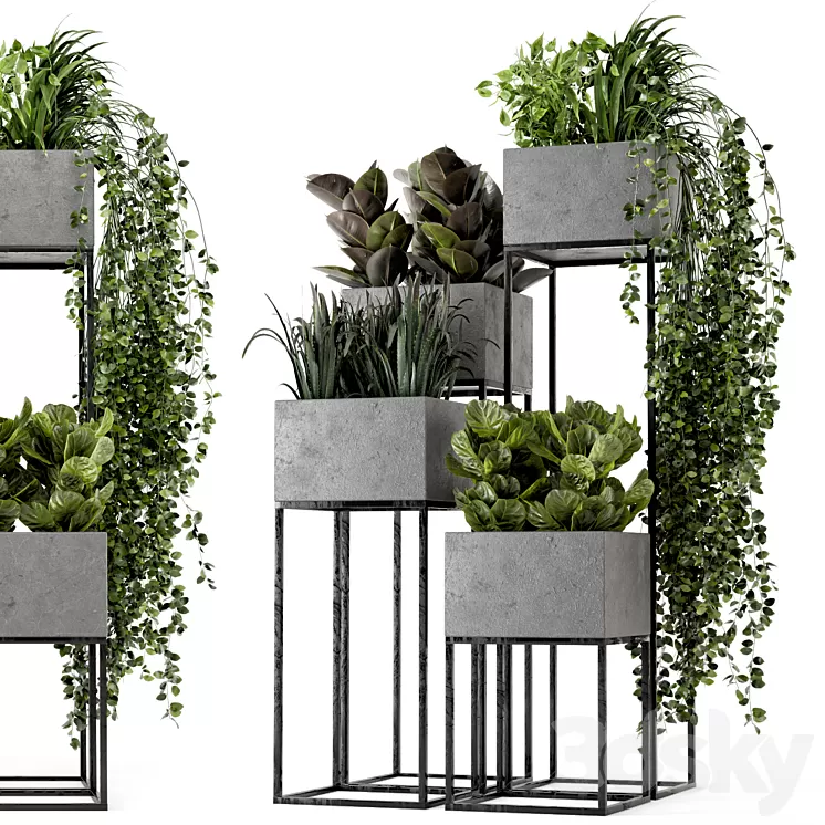 Indoor Plants in rusty Concrete Pot on Metal Shelf – Set 221 3D Model
