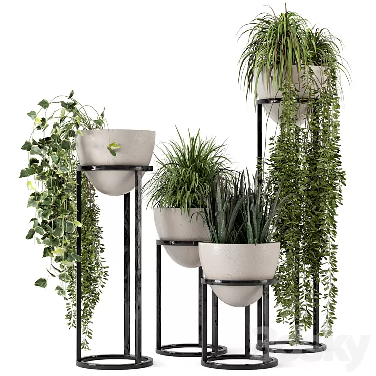 Indoor Plants in rusty Concrete Pot on Metal Shelf – Set 231 3D Model
