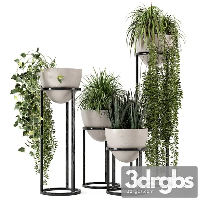 Indoor plants in rusty concrete pot on metal shelf – set 231