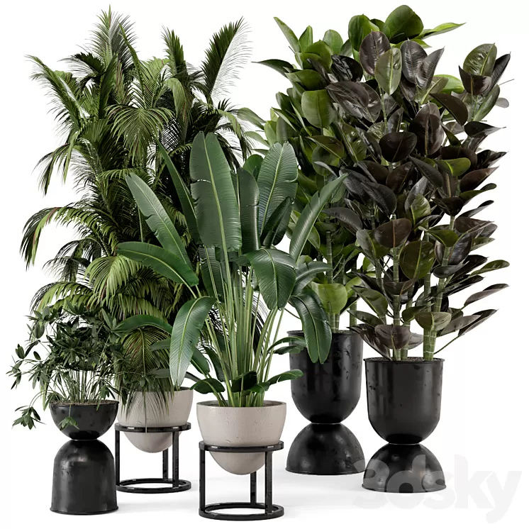 Indoor Plants in rusty Concrete Pot on Metal Shelf – Set 242 3D Model