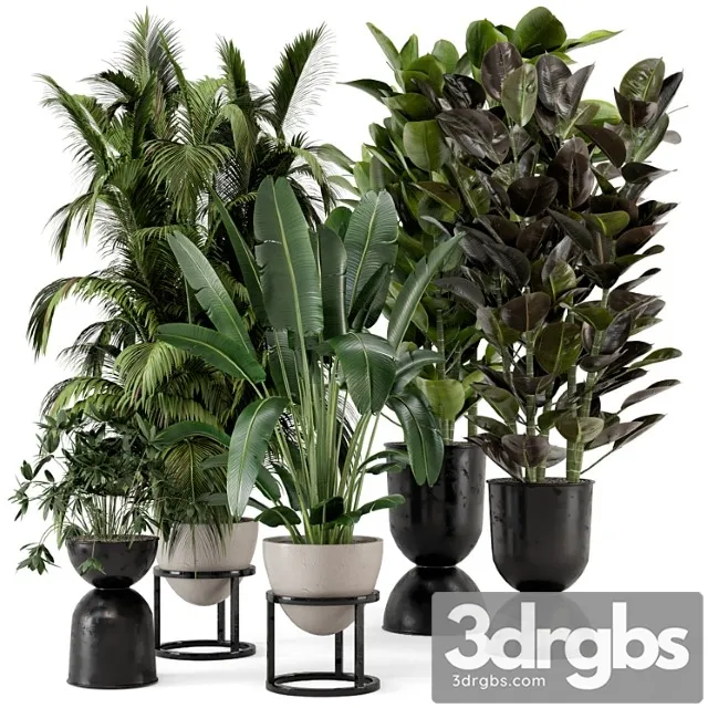 Indoor plants in rusty concrete pot on metal shelf – set 242