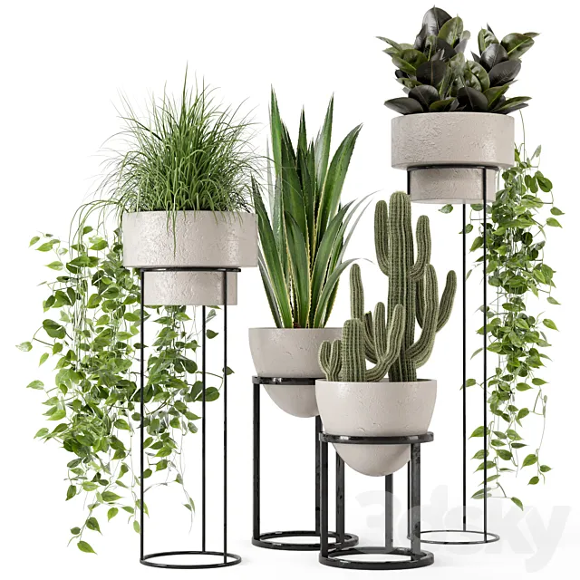 Indoor Plants in rusty Concrete Pot on Metal Shelf – Set 327 3D Model Indoor Plants in rusty Concrete Pot on Metal Shelf – Set 327 3D Model