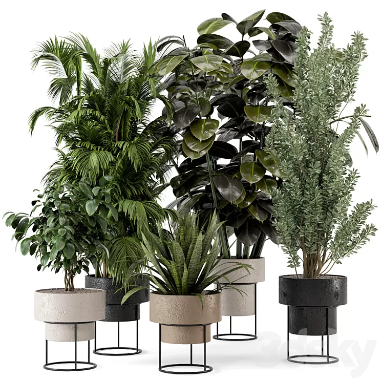 Indoor Plants in rusty Concrete Pot on Metal Shelf – Set 328 3D Model