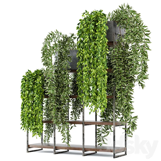 Indoor Plants in rusty Concrete Pot on Metal Shelf – Set 53 3DModel Indoor Plants in rusty Concrete Pot on Metal Shelf – Set 53 3DModel